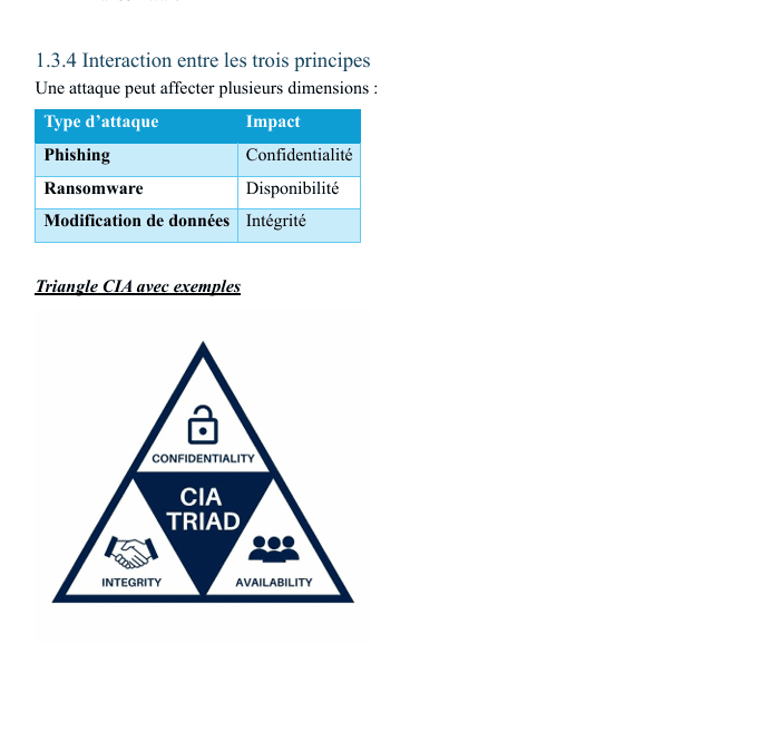 Programme de formation en sécurité holistique – CCAP - visuel 3